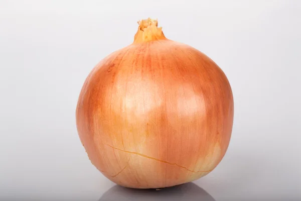 Onions on a gray background. — Stock Photo, Image