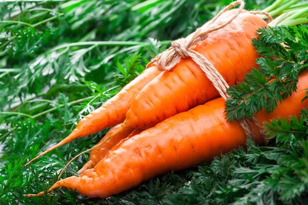 Carrot on green leaf with rope bow — Stock Photo, Image