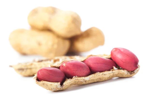 Cacahuètes isolées sur fond blanc — Photo