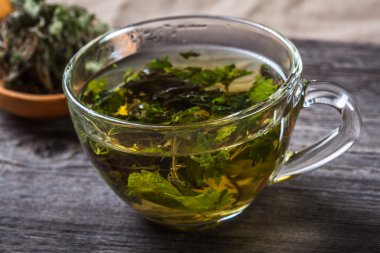 fincan yeşil nane çayı ve kaşık kuru nane