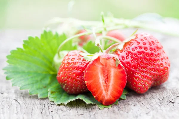 Strawberries and fresh leaves — Stok fotoğraf