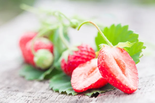 Strawberries and fresh leaves — Stok fotoğraf