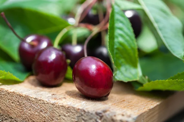 Cerezas frescas sobre tabla de madera —  Fotos de Stock