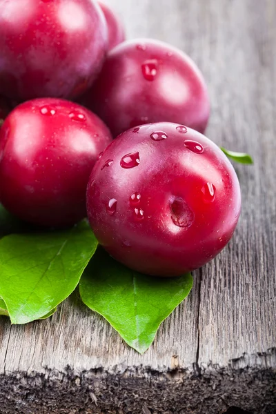 Prunes fraîches aux feuilles vertes — Photo