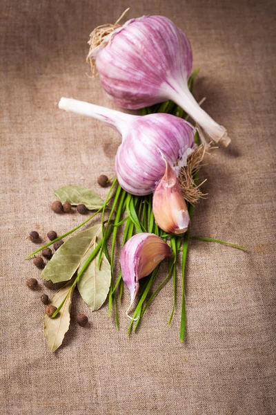 Garlic and spices — Stock Photo, Image