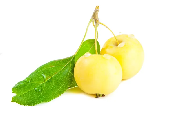 Желтые яблочки — стоковое фото