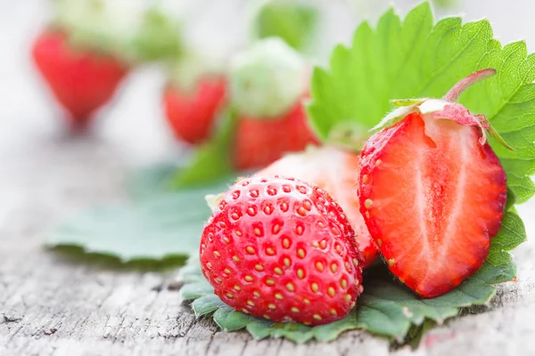 Strawberries and fresh leaves — Stockfoto