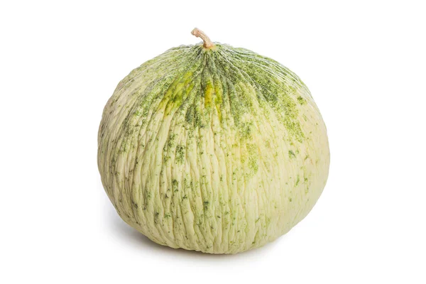 Melon isolerad på vitt — Stockfoto