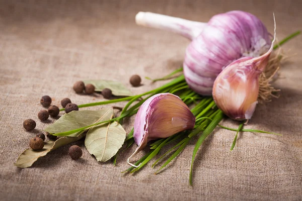 Garlic and spices — Stock Photo, Image