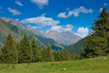 Vadinin görünümü