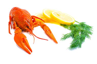 Crawfish with lemon and dill clipart