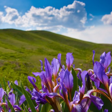 Kazakistan'ın gözü
