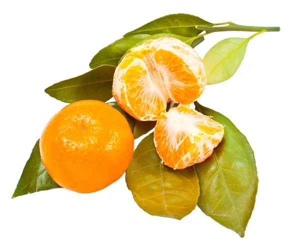Frutos de mandarina con hojas verdes —  Fotos de Stock
