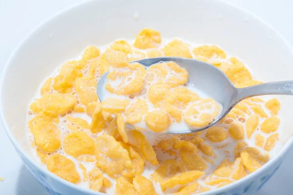 Corn flakes with milk — Stock Photo, Image