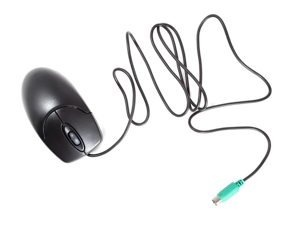 Computer Mouse — Stock Photo, Image