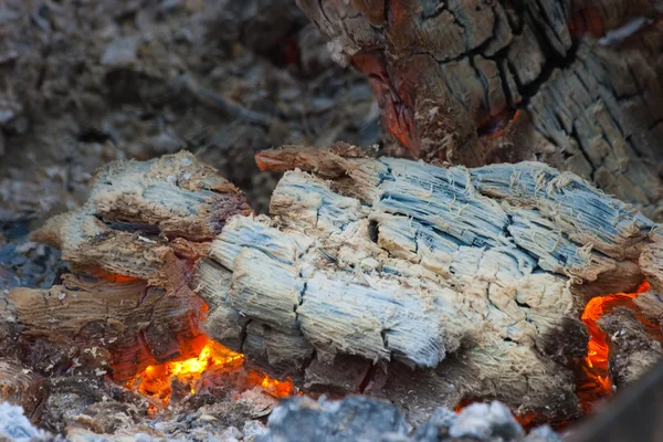 Barbacoa caliente — Foto de Stock