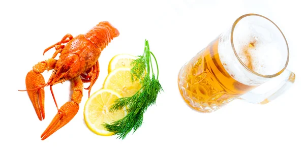 Crawfishes och mugg öl — Stockfoto