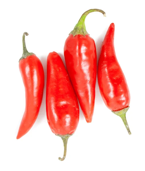 Pimienta de especias rojas — Foto de Stock