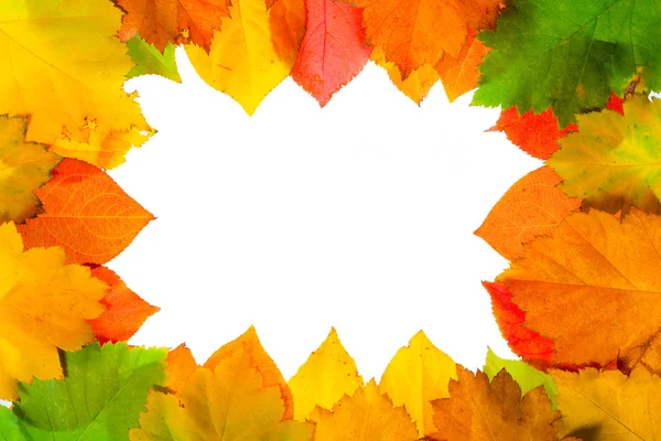 Frame from autumn leaves — Stock Photo, Image