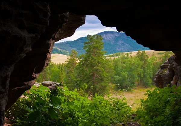 Kazachstan karkaraly landschap — 图库照片