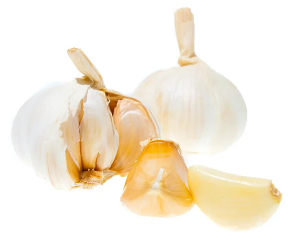 Garlic set — Stock Photo, Image