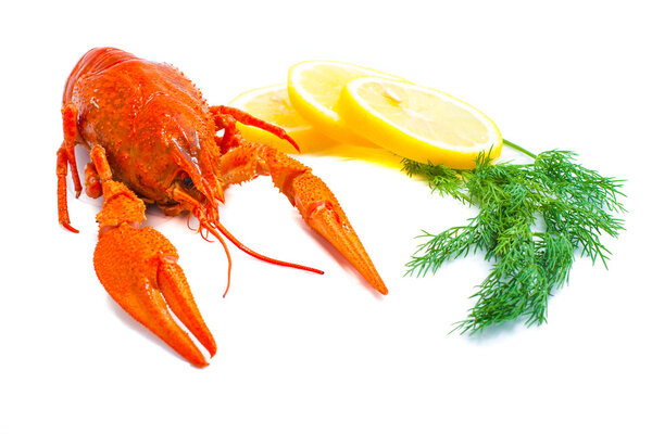 Crawfish with lemon and dill