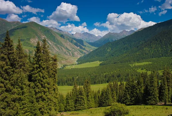 Vista sulla valle — Foto Stock