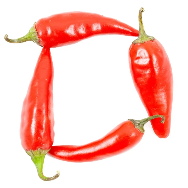 Peperoncino rosso — Foto Stock