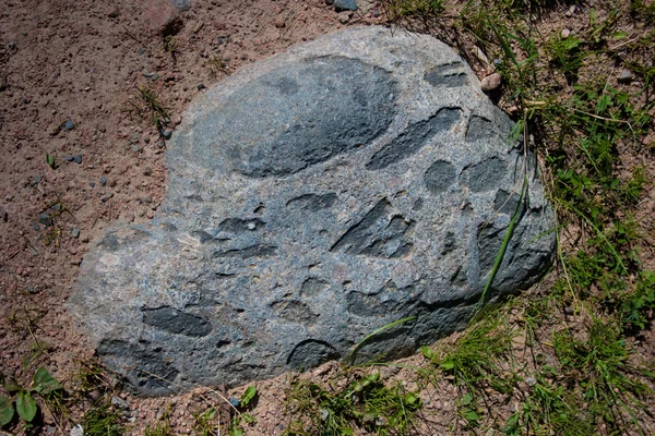 Rock in ground — Stock Photo, Image