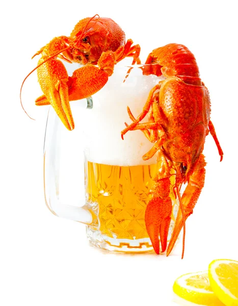 Crawfish et tasse de bière — Photo