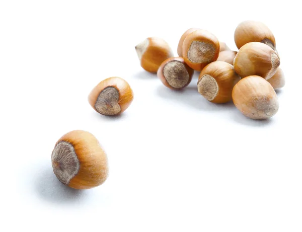 Brown hazelnuts — Stock Photo, Image