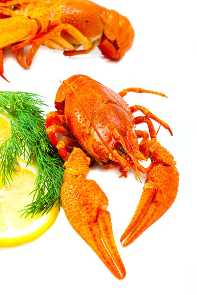 Limon ve dereotu ile crawfishes — Stok fotoğraf