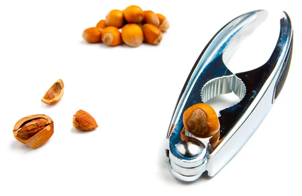 Hazelnut dan nutcracker — Stok Foto