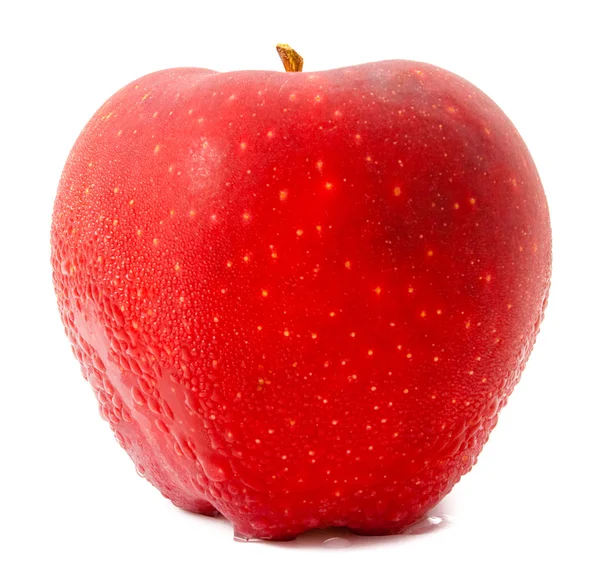 Manzana roja — Foto de Stock