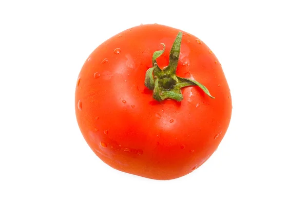 Tomate sobre blanco — Foto de Stock