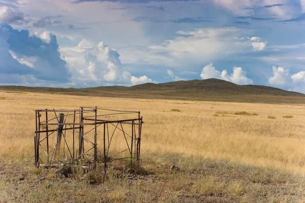 Yellow steppe — Stockfoto