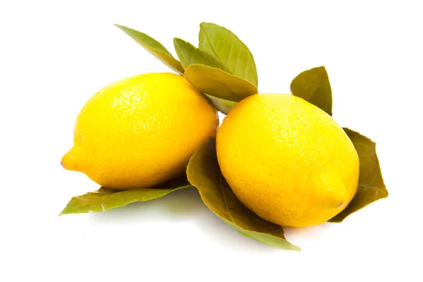 Yapraklı limon — Stok fotoğraf