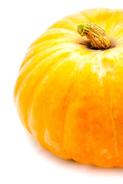 Yellow pumpkin Stock Picture