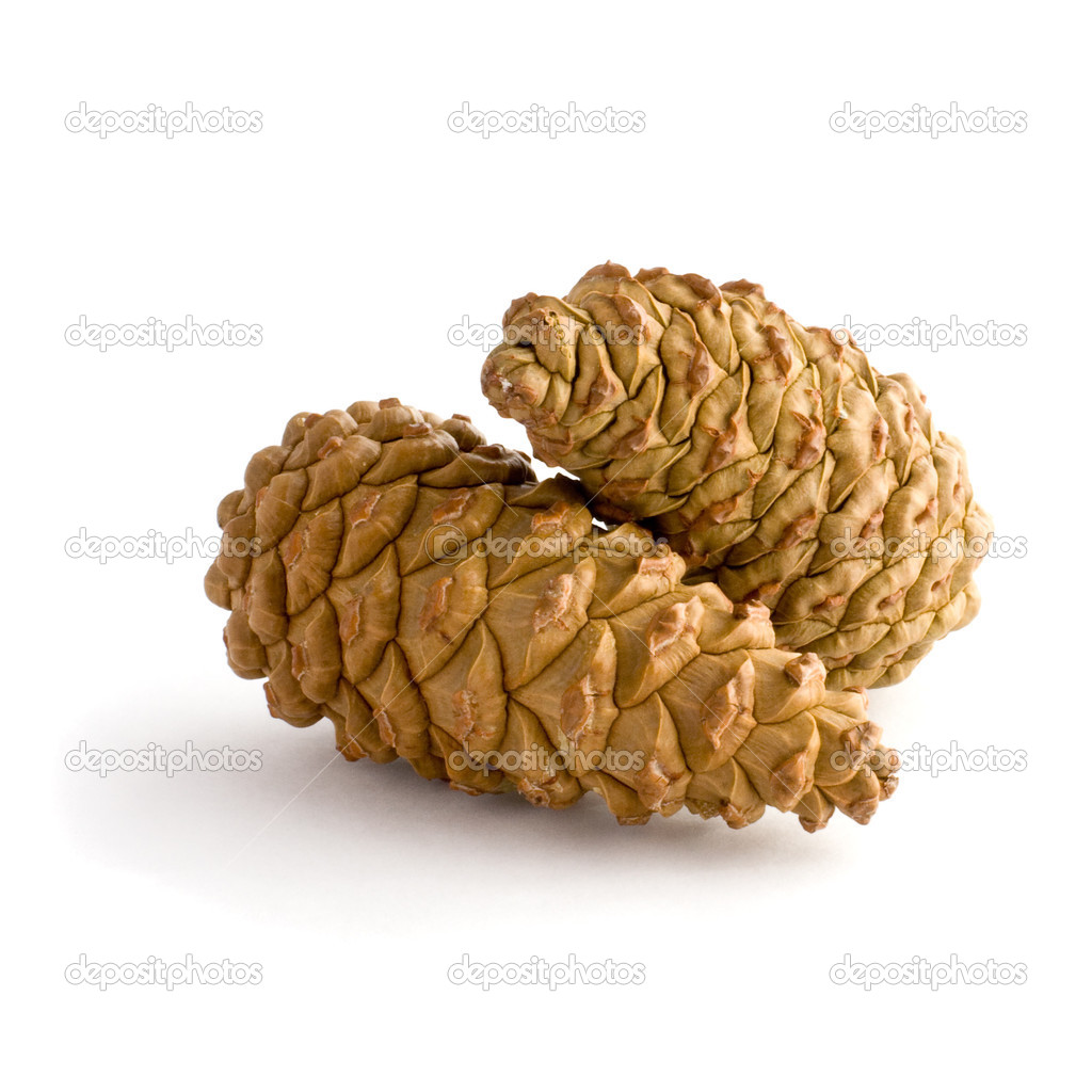 Cones on a white