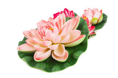 havlu, organik sabun ve lily