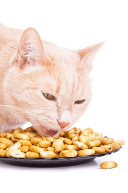 Kırmızı kedi yemek balık şekil cook