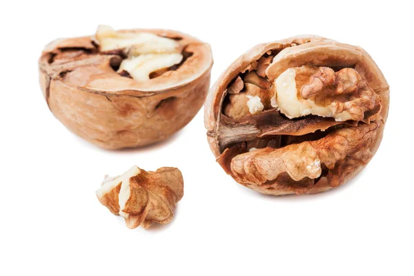 Open walnut in closeup — Stock Photo, Image