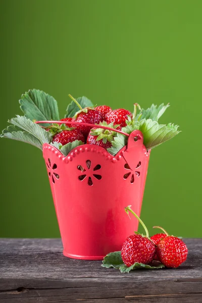 Rijpe aardbeien — Stockfoto