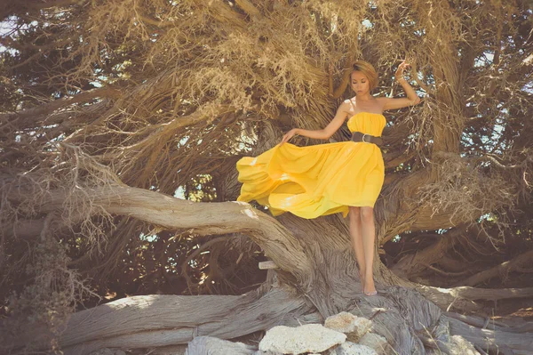 Krásná dáma s mohutným stromem — Stock fotografie