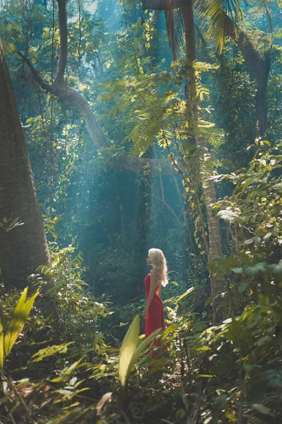 Beautiful lady in tropical forest — Stock Photo, Image