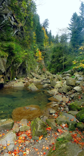Herbst Wasserfall in Karpaty Mountain — Stockfoto