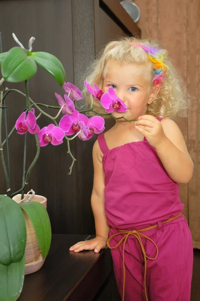 Chica oler orquídea — Foto de Stock