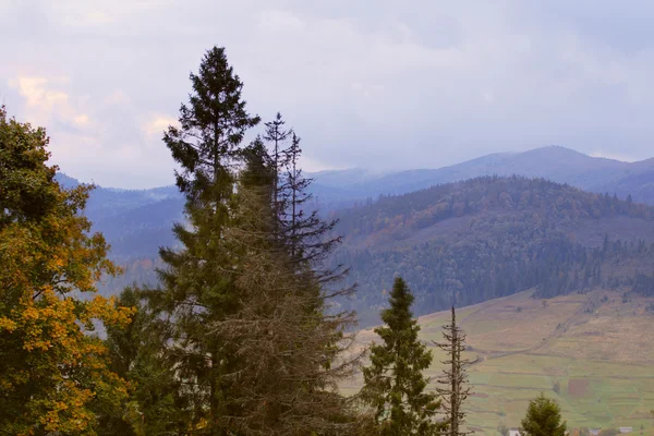 Outono paisagem montanhosa na Ucrânia — Fotografia de Stock