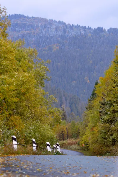 Podzimní horská krajina na Ukrajině Stock Fotografie