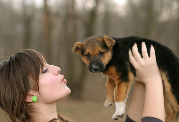 Kızla köpek yavrusu — Stok fotoğraf